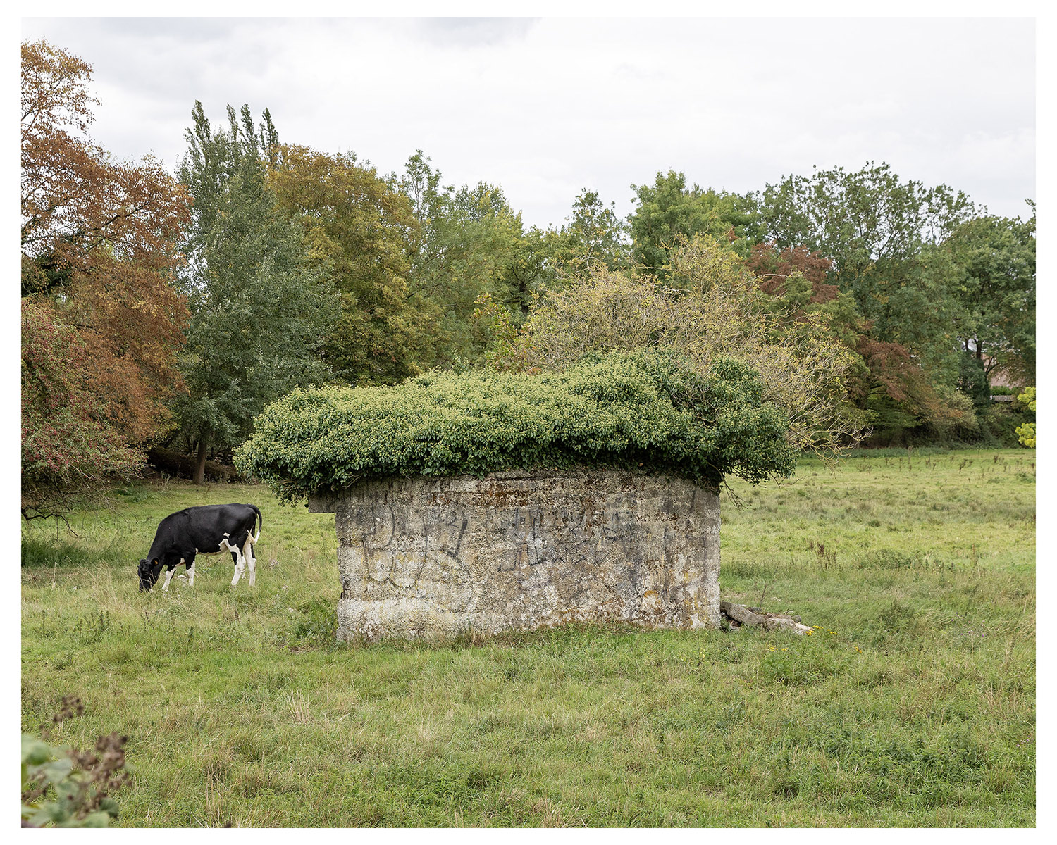 Photographie d'architecture et de patrimoine, Lille, Nord, Hauts-de-France. Blockhaus à Ennetières-en-Weppes ©Thomas Karges