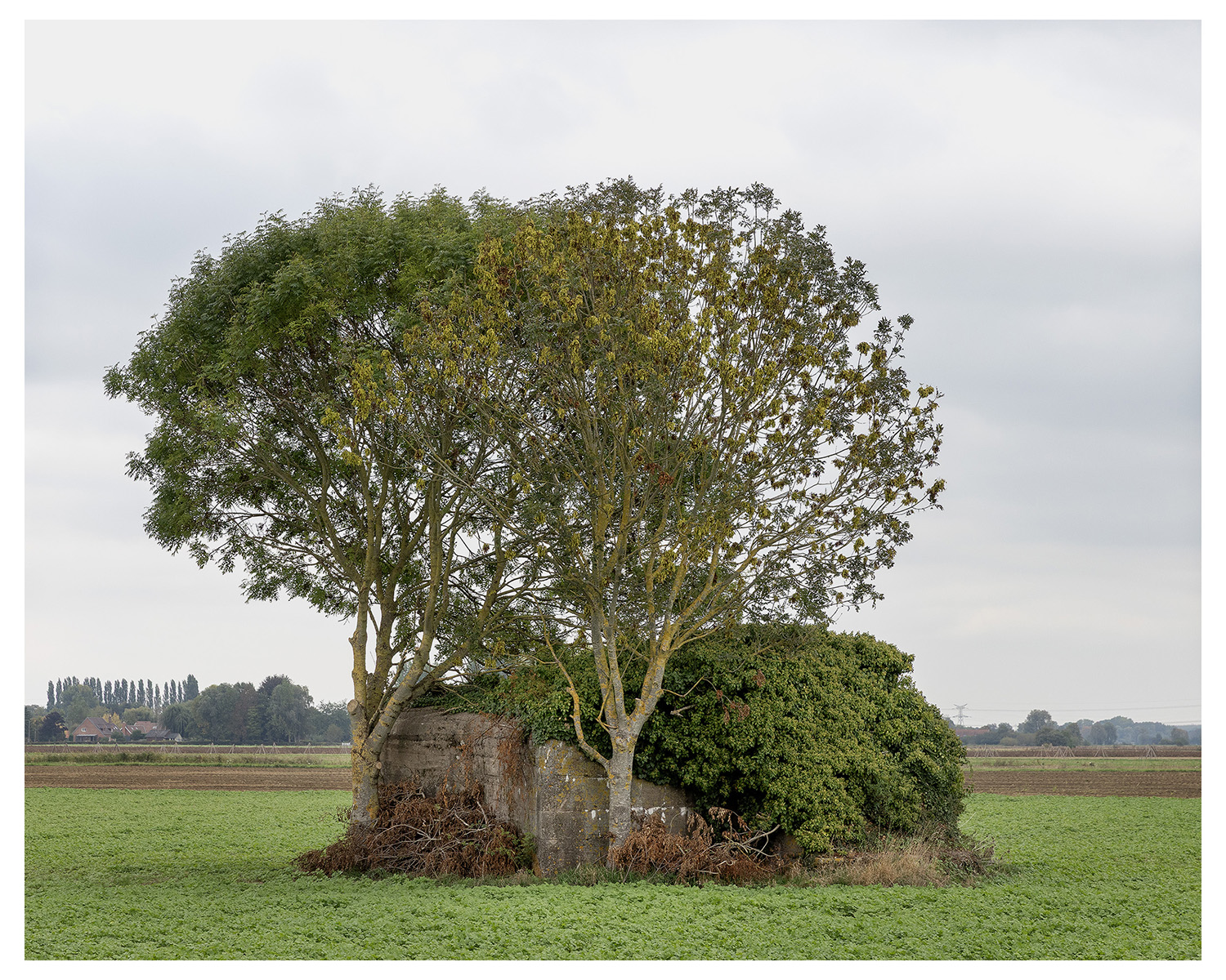 Photographie d'architecture et de patrimoine, Lille, Nord, Hauts-de-France. Blockhaus à Le Maisnil ©Thomas Karges